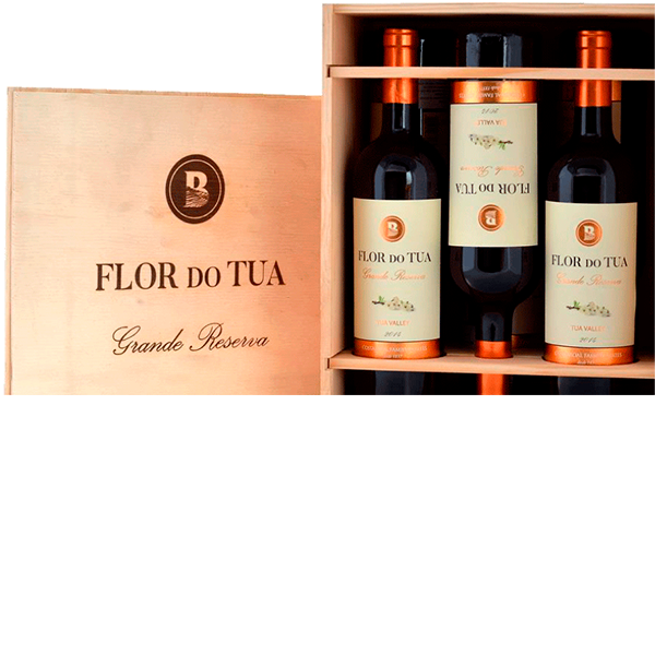 FLOR DO TUA