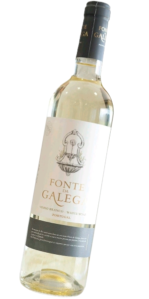 FONTE DA GALEGA